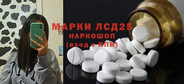 гидра Каменногорск