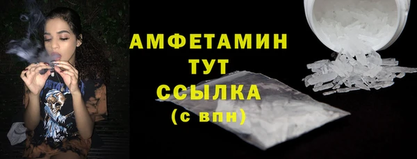 гидра Каменногорск