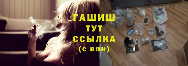 гидра Каменногорск