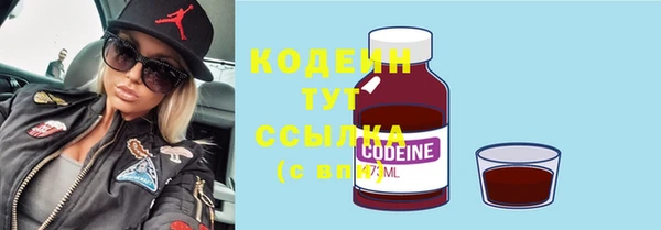 гидра Каменногорск