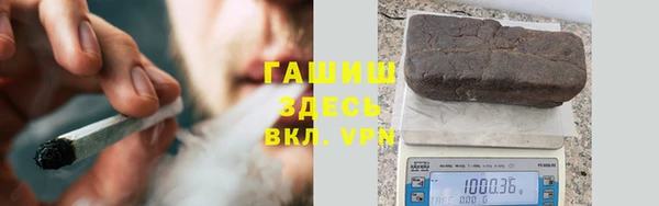 гидра Каменногорск