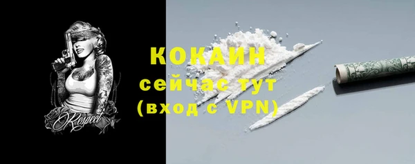 гидра Каменногорск