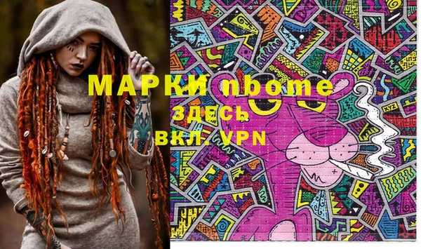 гидра Каменногорск