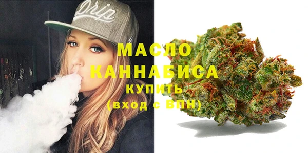 гидра Каменногорск