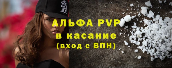 спиды Каменка
