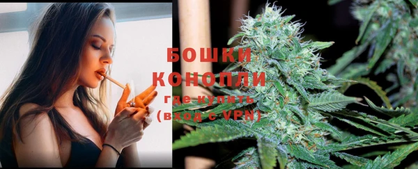 спиды Каменка