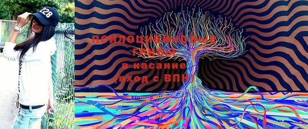 гидра Каменногорск