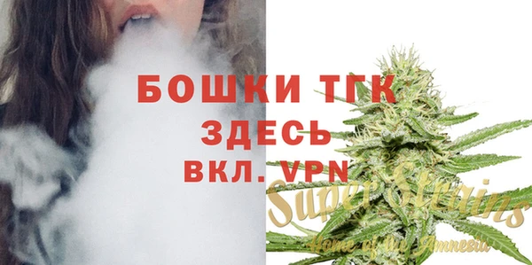 гидра Каменногорск