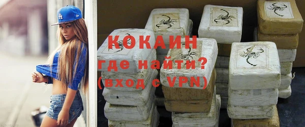 гидра Каменногорск