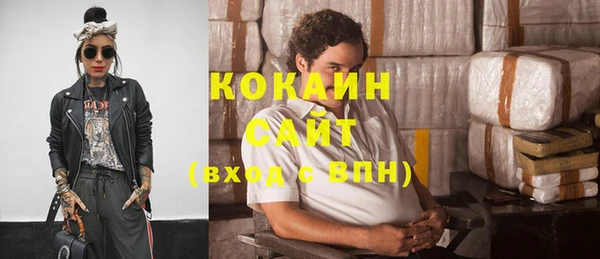 гидра Каменногорск
